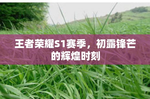 初露锋芒的辉煌时刻图片