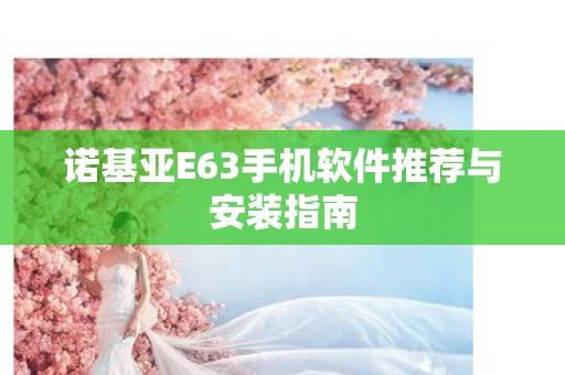 诺基亚E63手机软件推荐与安装指南图片
