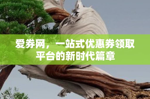 一站式优惠券领取平台的新时代篇章图片