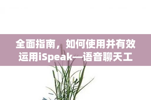 如何使用并有效运用iSpeak图片