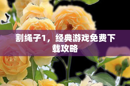 经典游戏免费下载攻略图片
