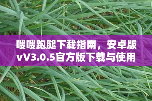 5官方版下载与使用图片