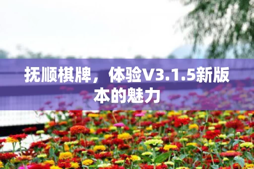 5新版本的魅力图片