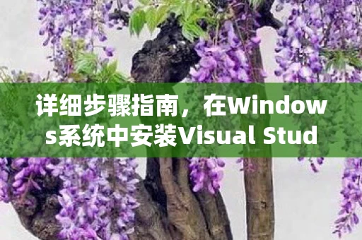在Windows系统中安装Visual Studio 2008图片