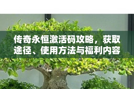 传奇永恒激活码攻略图片