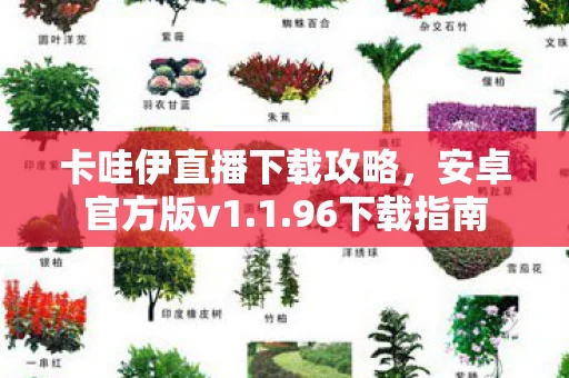 卡哇伊直播下载攻略图片