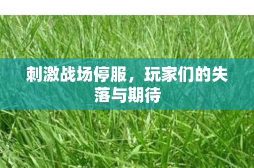 玩家们的失落与期待图片