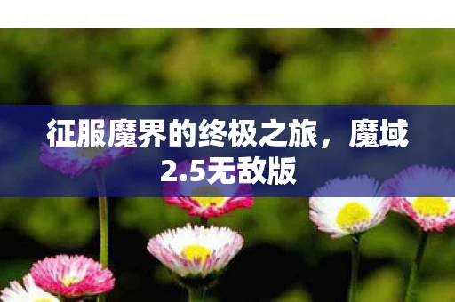 征服魔界的终极之旅图片