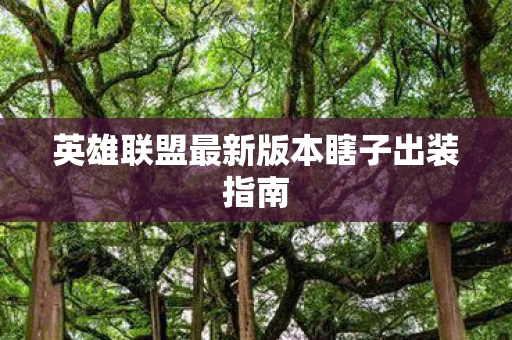 英雄联盟最新版本瞎子出装指南图片