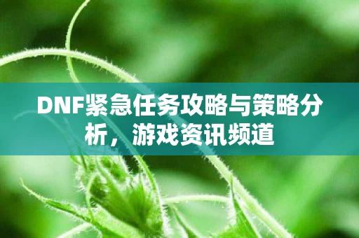 DNF紧急任务攻略与策略分析图片