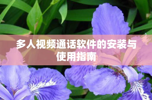 多人视频通话软件的安装与使用指南 多人视频通话软件的安装与使用指南