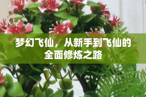 从新手到飞仙的全面修炼之路图片