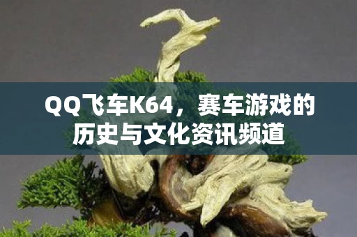 赛车游戏的历史与文化资讯频道图片