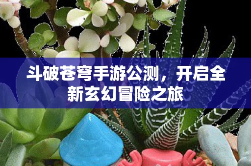 开启全新玄幻冒险之旅图片
