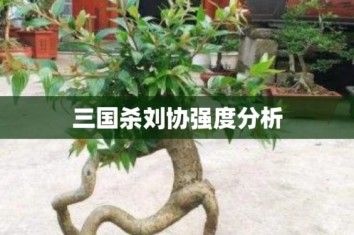 三国杀刘协强度分析图片