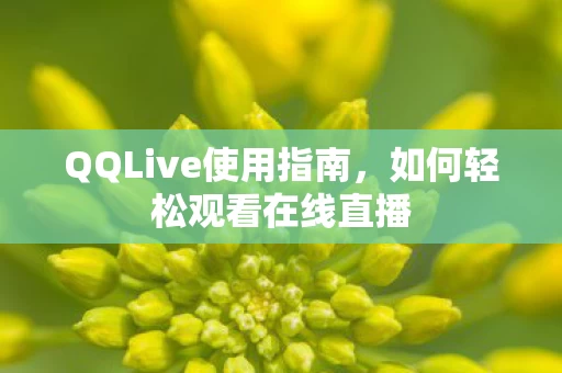 QQLive使用指南图片
