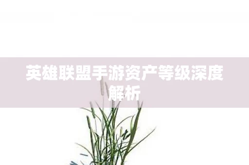 英雄联盟手游资产等级深度解析图片