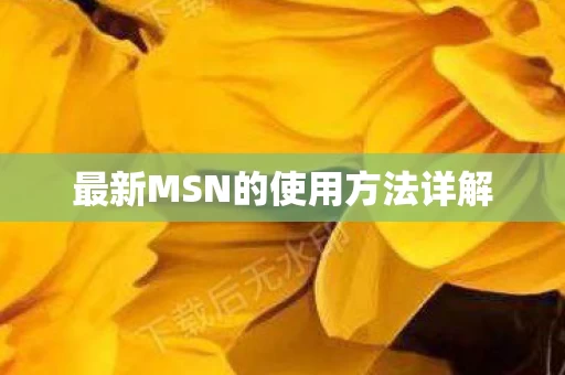 最新MSN的使用方法详解图片