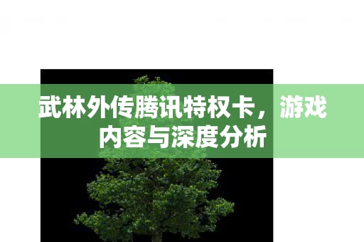 武林外传腾讯特权卡图片
