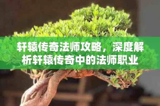 深度解析轩辕传奇中的法师职业图片