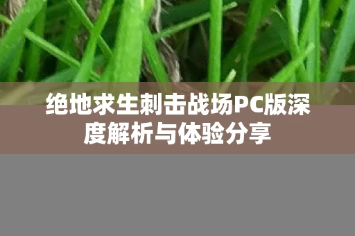 绝地求生刺击战场PC版深度解析与体验分享图片