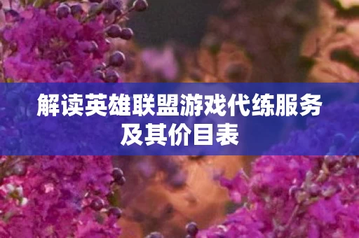 解读英雄联盟游戏代练服务及其价目表图片