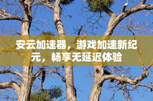 游戏加速新纪元图片
