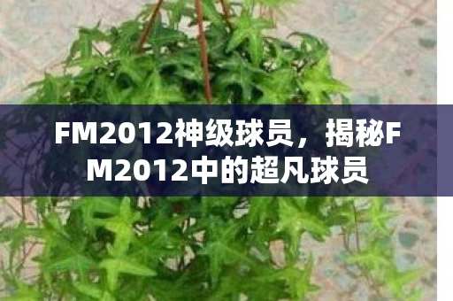 揭秘FM2012中的超凡球员图片