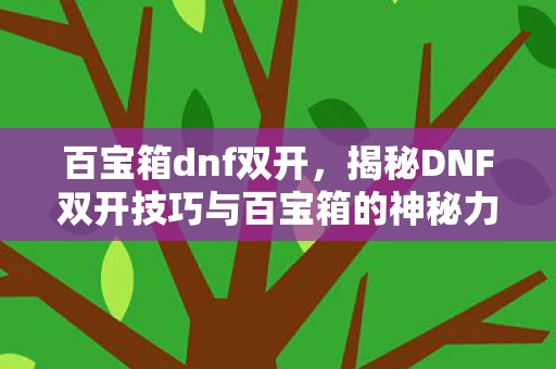 揭秘DNF双开技巧与百宝箱的神秘力量图片