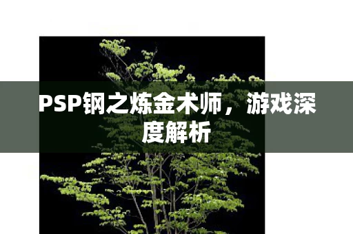 PSP钢之炼金术师图片