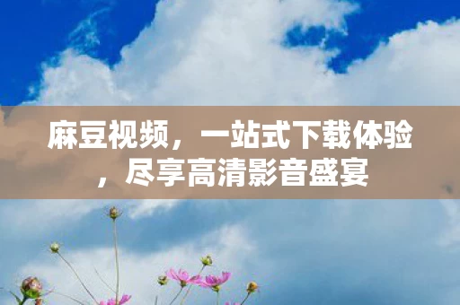 尽享高清影音盛宴图片
