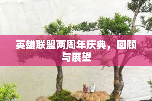 英雄联盟两周年庆典图片