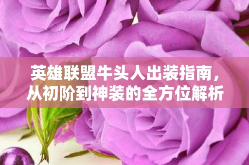 从初阶到神装的全方位解析图片