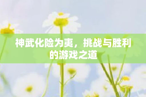 挑战与胜利的游戏之道图片