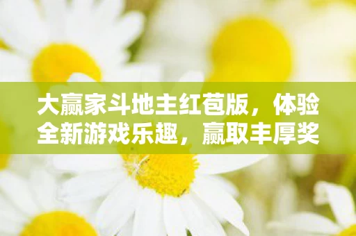 大赢家斗地主红苞版图片