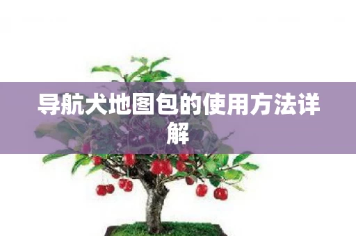 导航犬地图包的使用方法详解图片