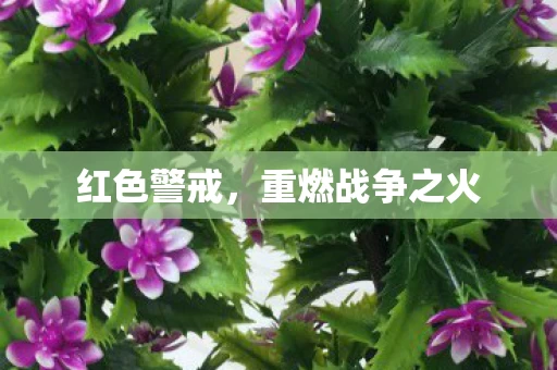 重燃战争之火图片