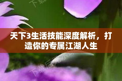 天下3生活技能深度解析图片