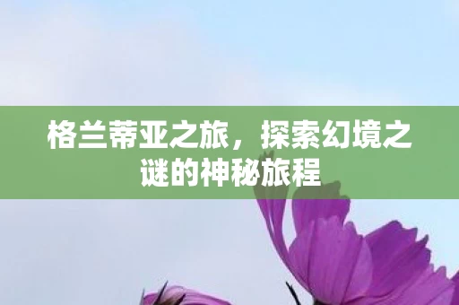 探索幻境之谜的神秘旅程图片