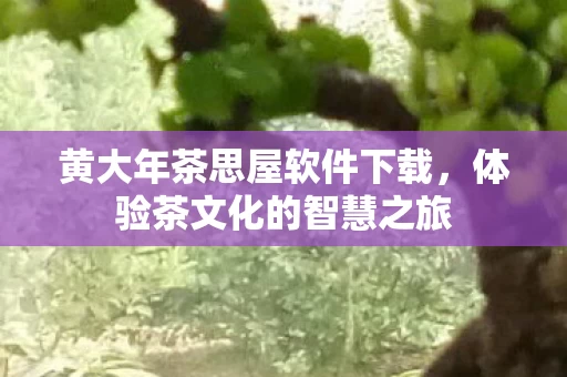 黄大年茶思屋软件下载图片