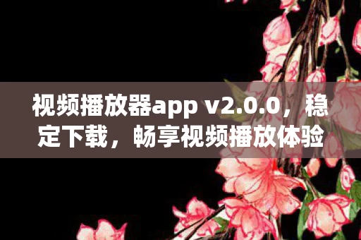 视频播放器app v2图片