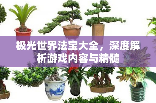 深度解析游戏内容与精髓图片