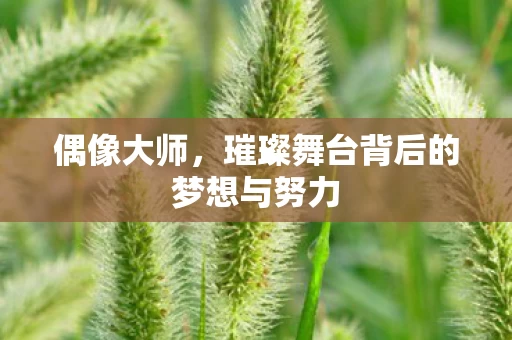璀璨舞台背后的梦想与努力图片