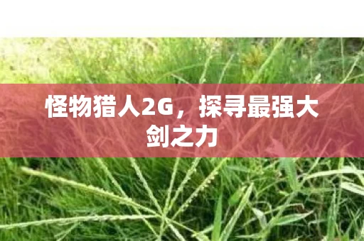 探寻最强大剑之力图片