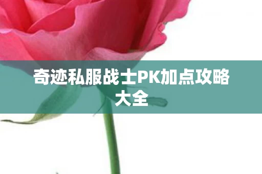 奇迹私服战士PK加点攻略大全图片