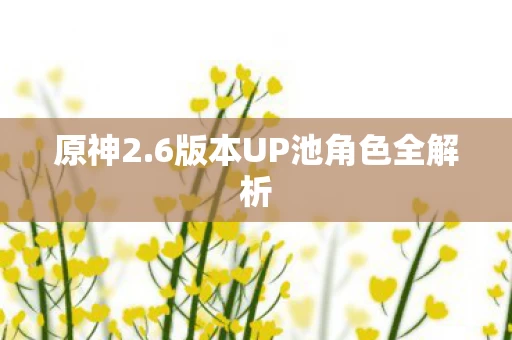 6版本UP池角色全解析图片