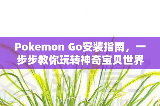 Pokemon Go安装指南图片