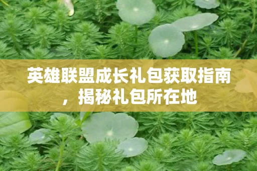 英雄联盟成长礼包获取指南图片