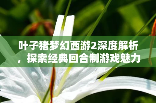 叶子猪梦幻西游2深度解析图片