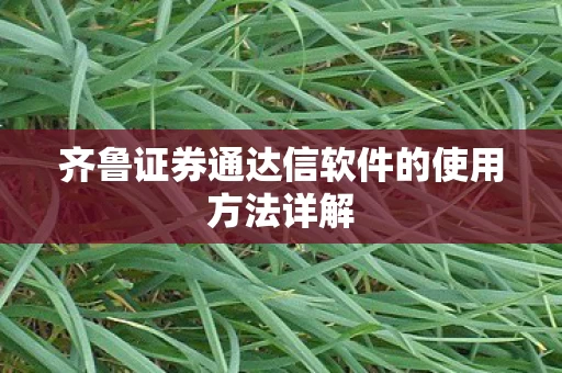 齐鲁证券通达信软件的使用方法详解图片